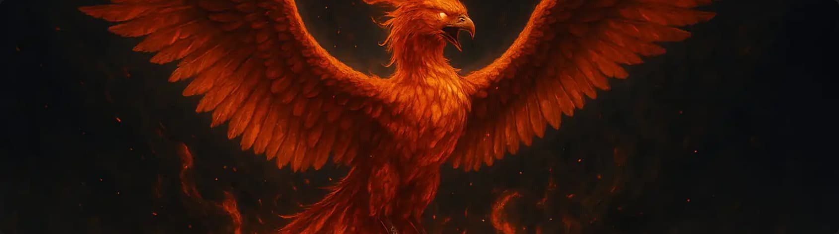 Welcome back, TMS users!